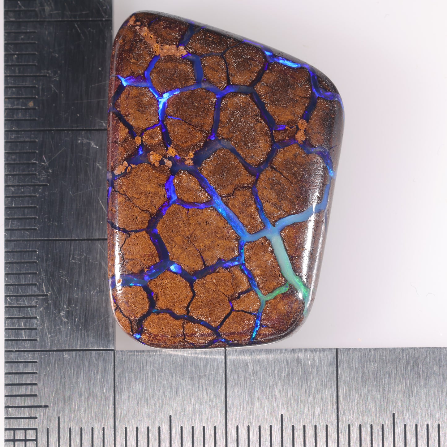 Boulder Opal 50.13 cts 38920