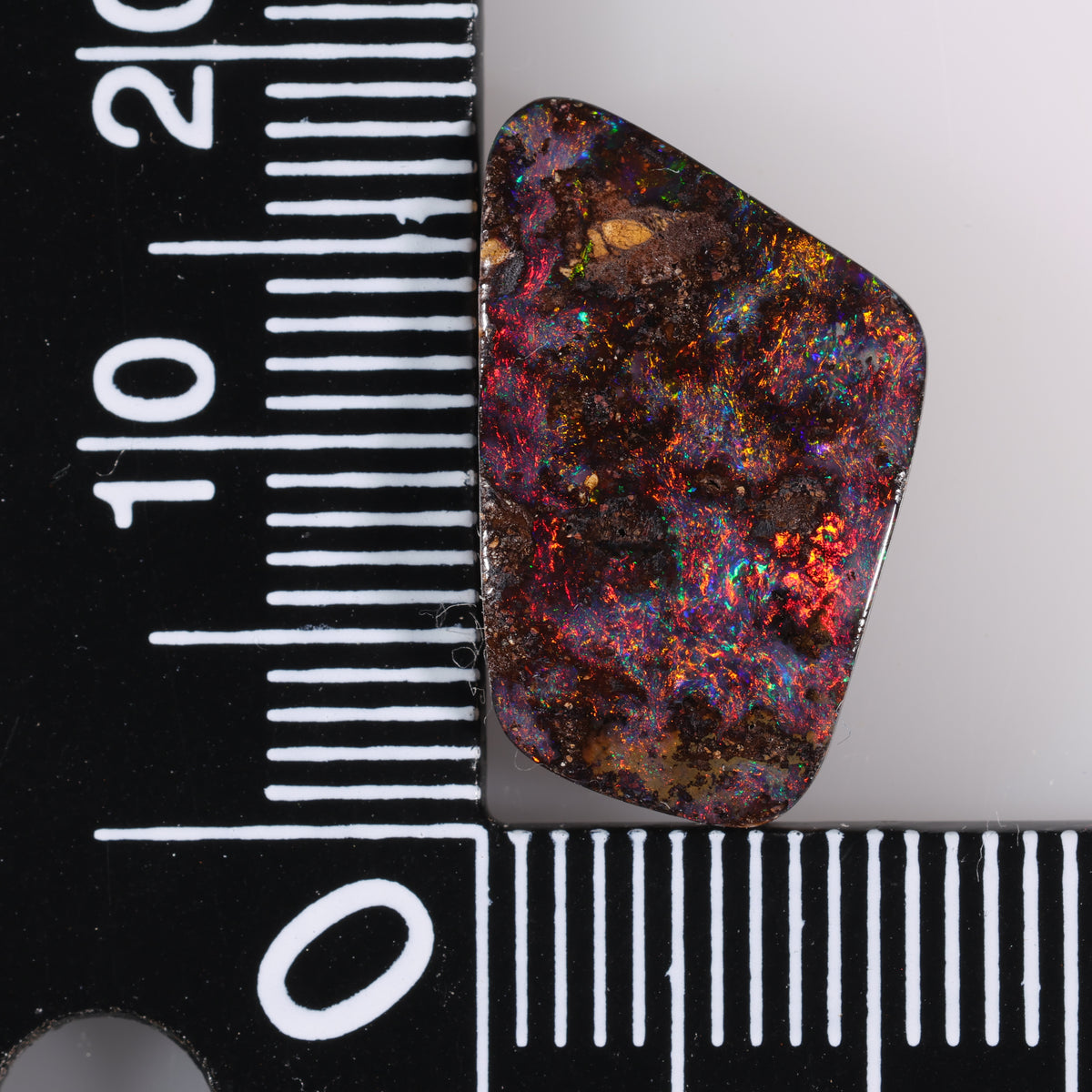 Boulder Opal 8.56 cts 39719
