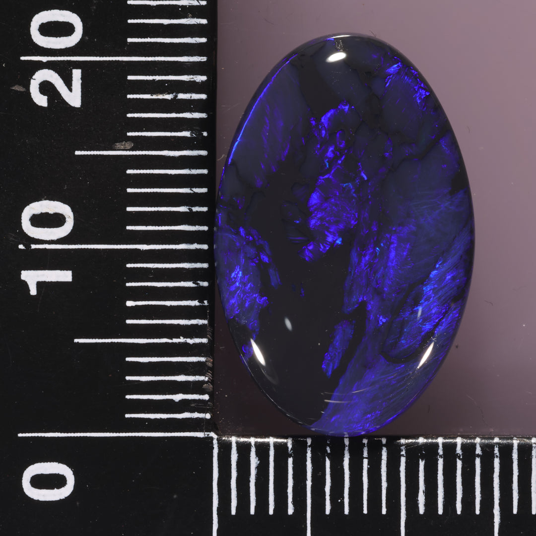 Lightning Ridge Opal 10.45cts 25293