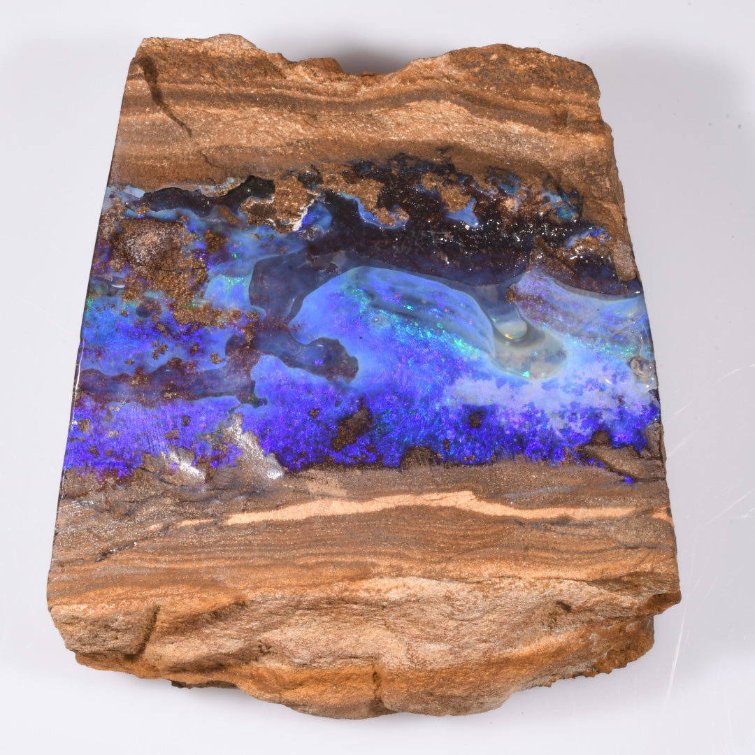 Specimens