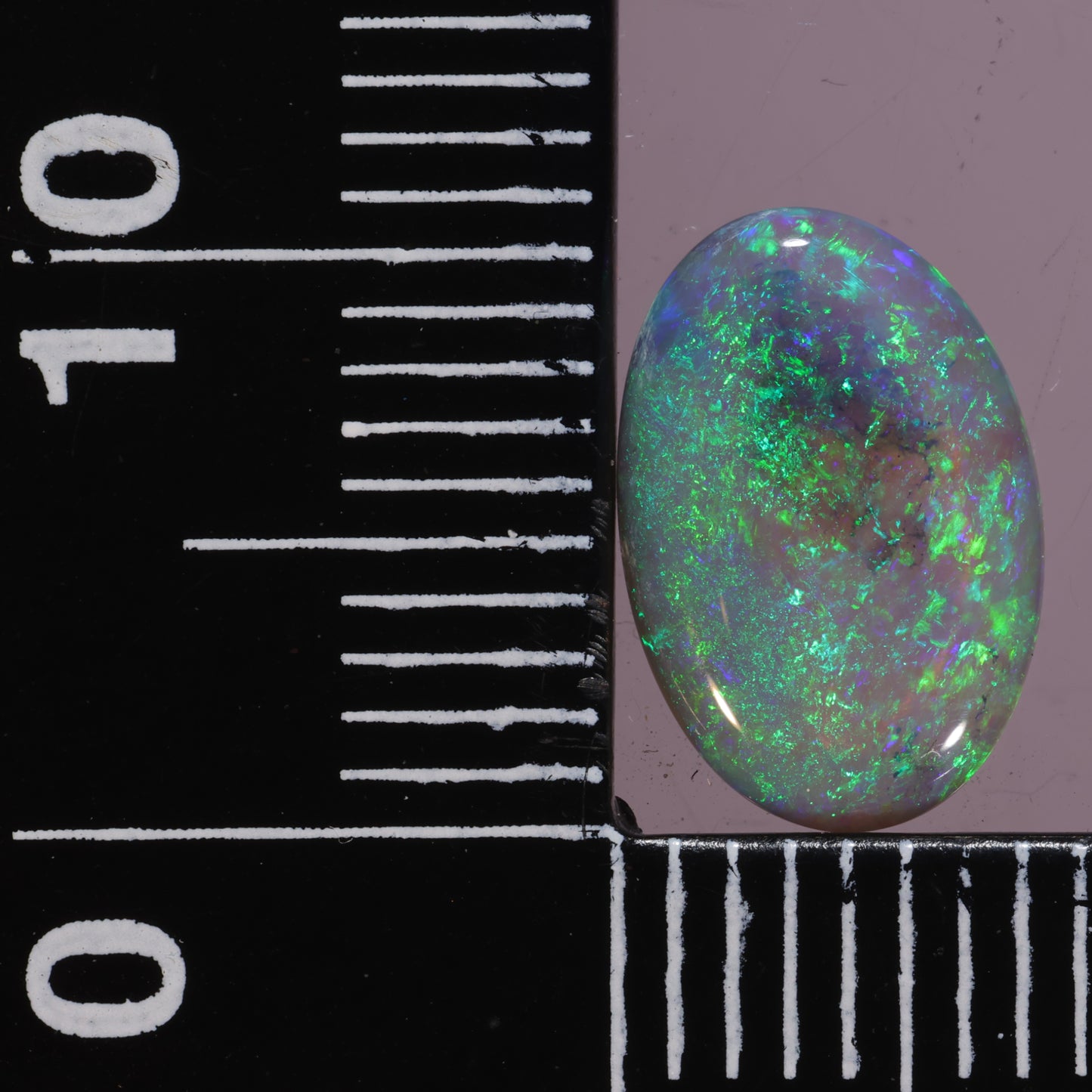 Lightning Ridge Opal 1.42cts 11636