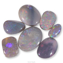 Load image into Gallery viewer, Lightning Ridge Opal Set 5.70cts 17393
