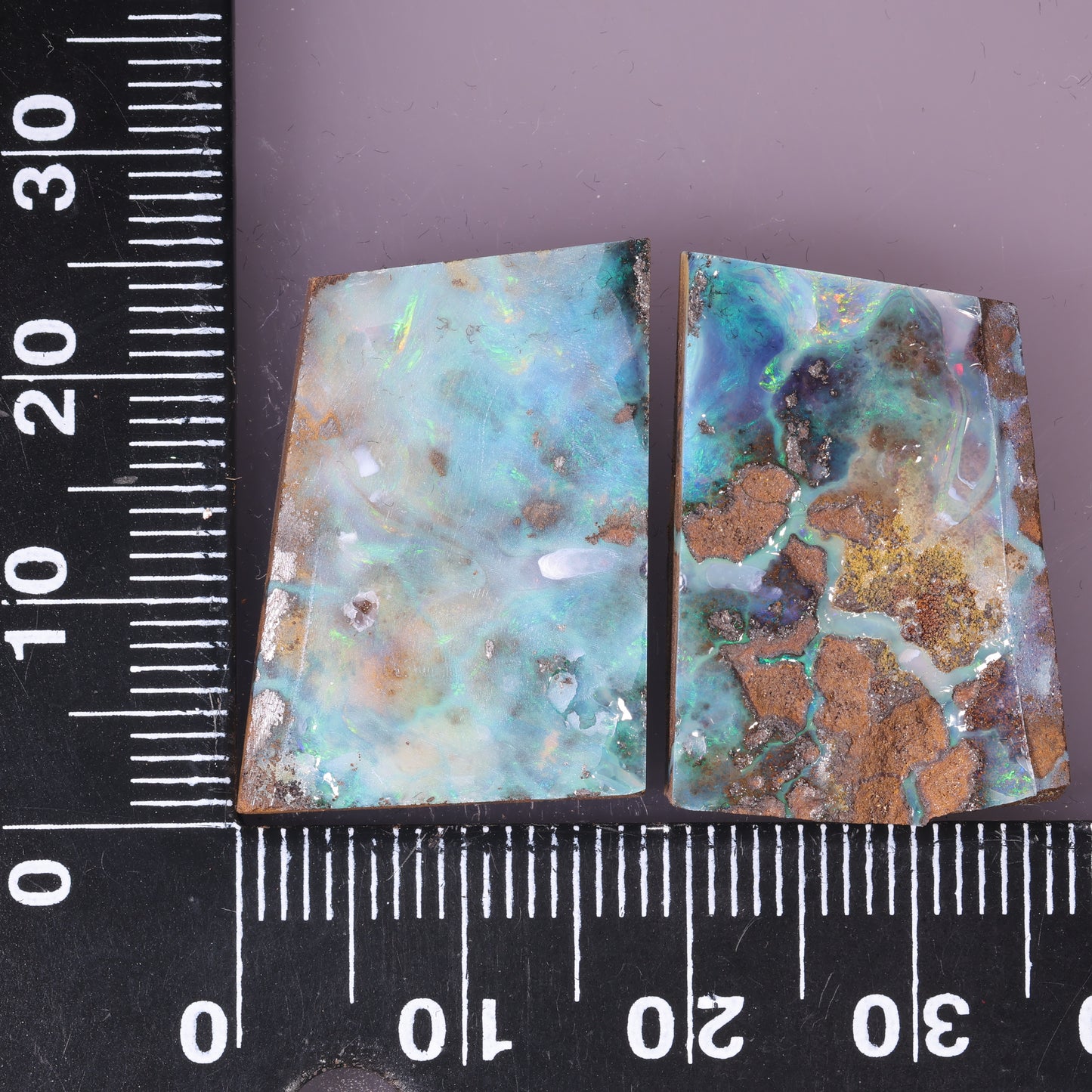 Boulder Opal Lapidary Rough Split Pair