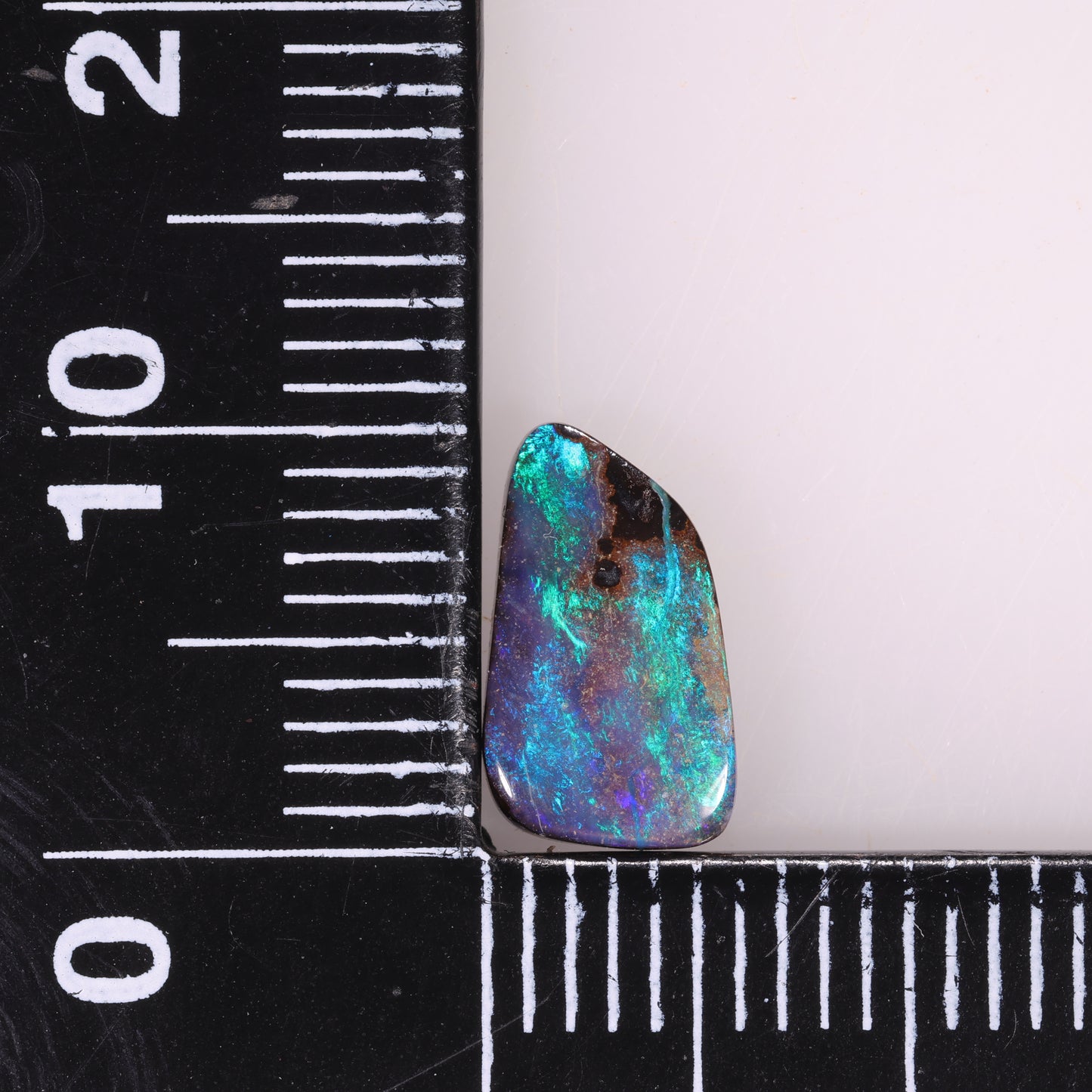 Boulder Opal 1.61cts 31751