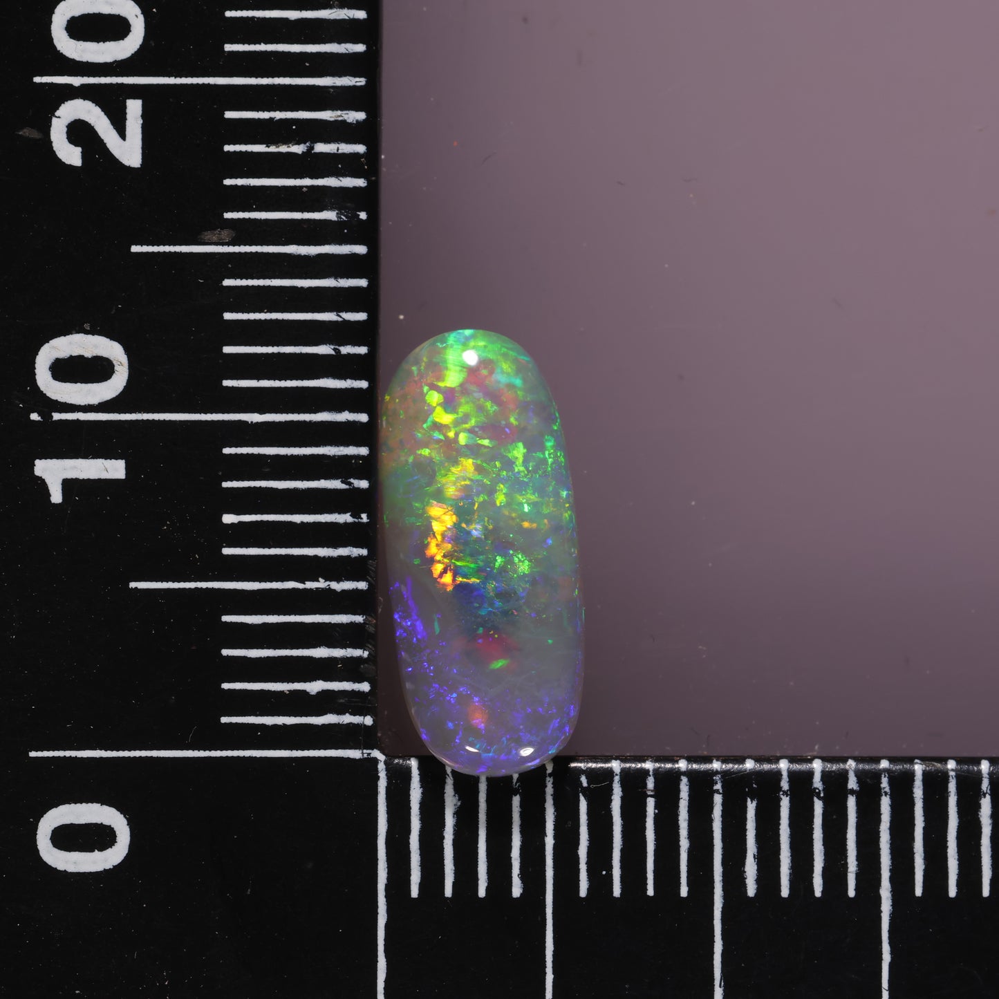 Lightning Ridge Opal 1.67cts 17314