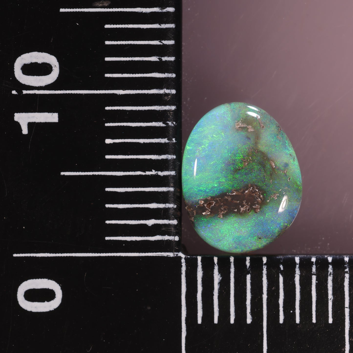 Lightning Ridge Opal 1.61cts 28494