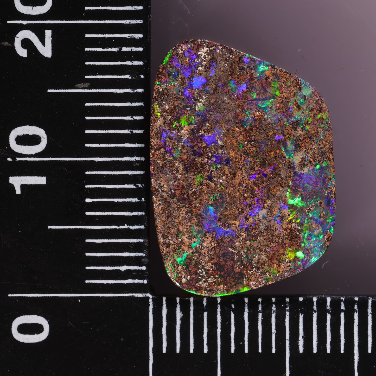 Boulder Opal 7.54cts 28591