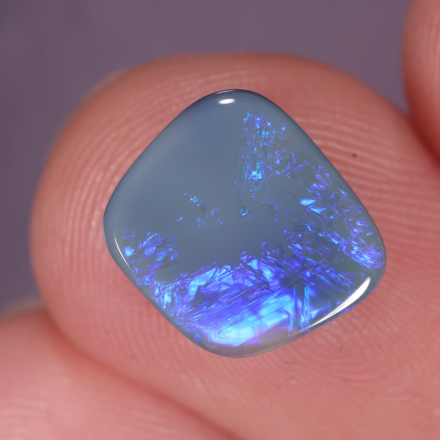 Lightning Ridge Opal 1.60cts 31855