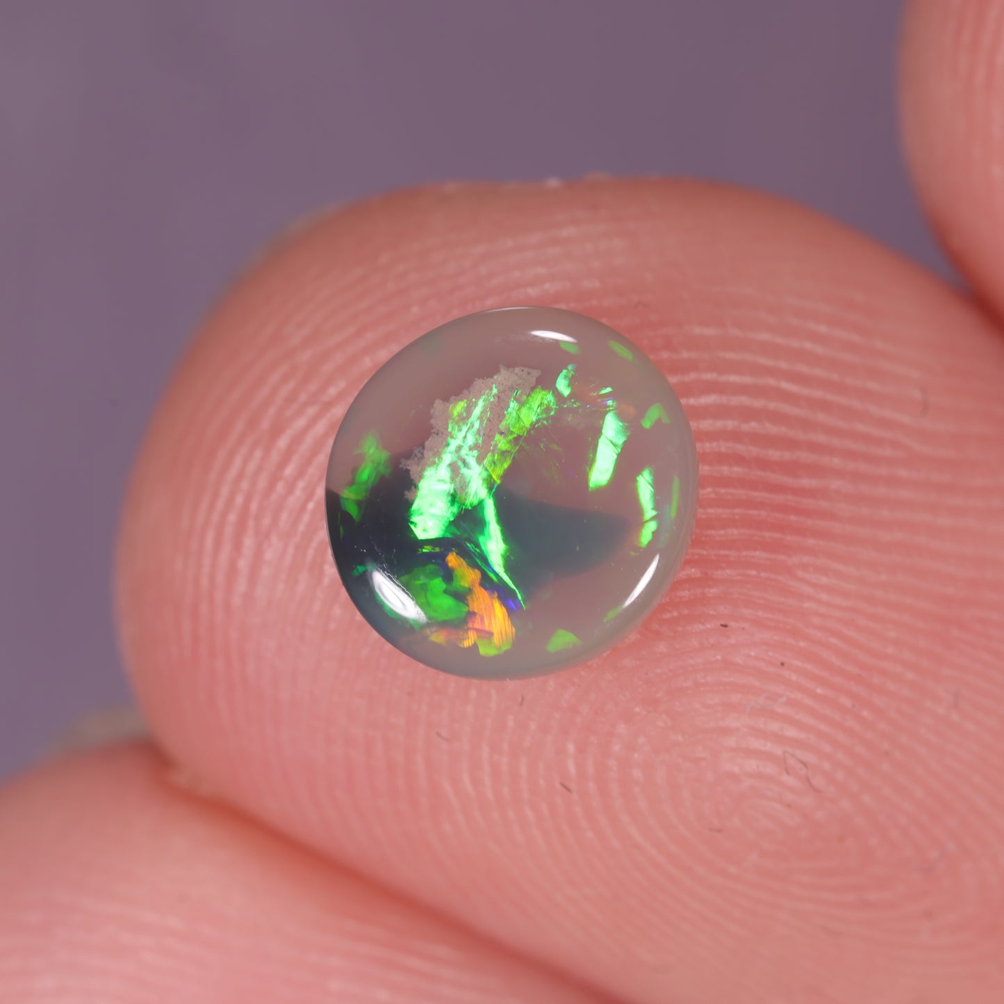 Lightning Ridge Opal 0.50cts 31861