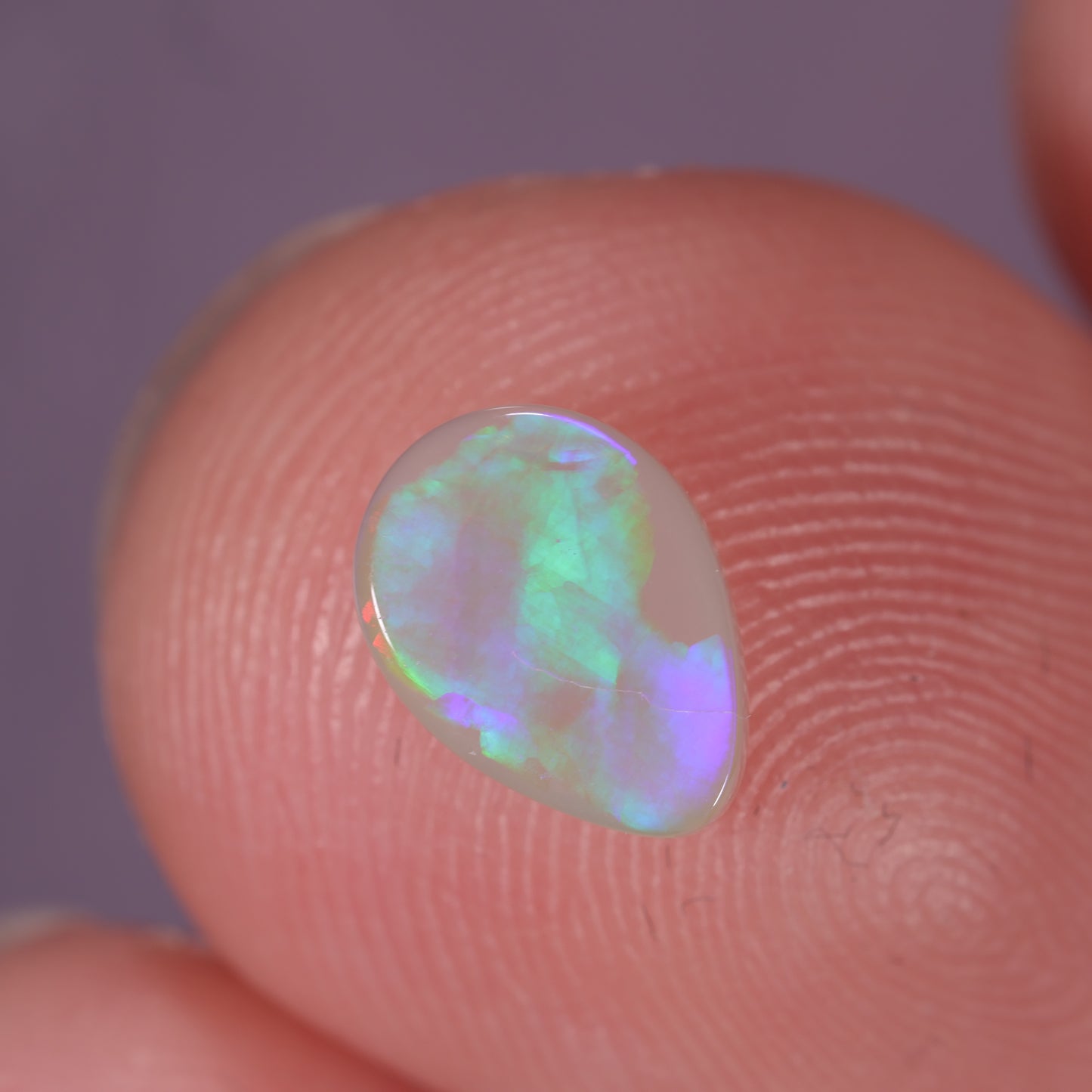 Lightning Ridge Opal 0.50cts 31823