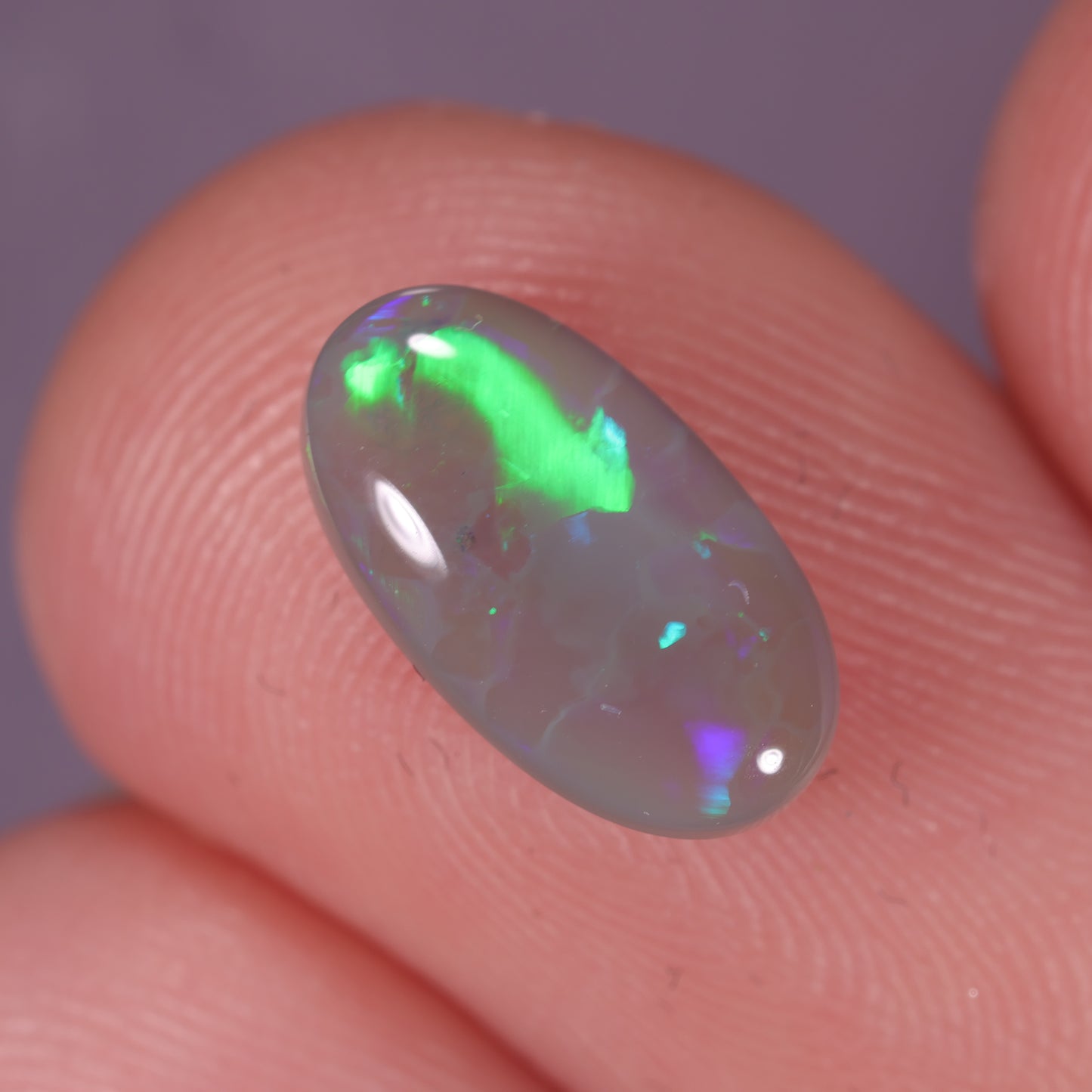 Lightning Ridge Opal 1.12cts 31862