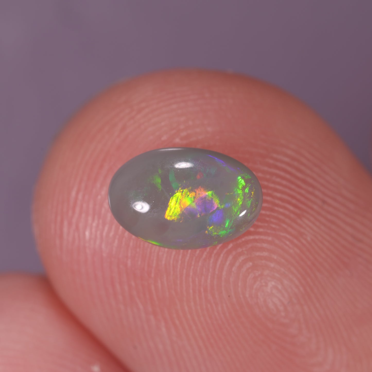 Lightning Ridge Opal 0.50cts 31838