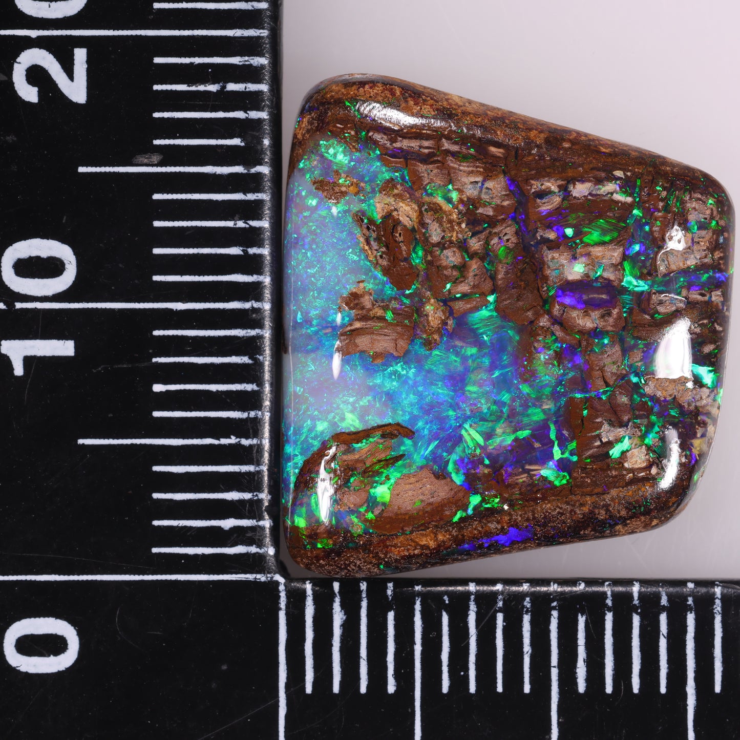 Boulder Opal 11.36cts 32258