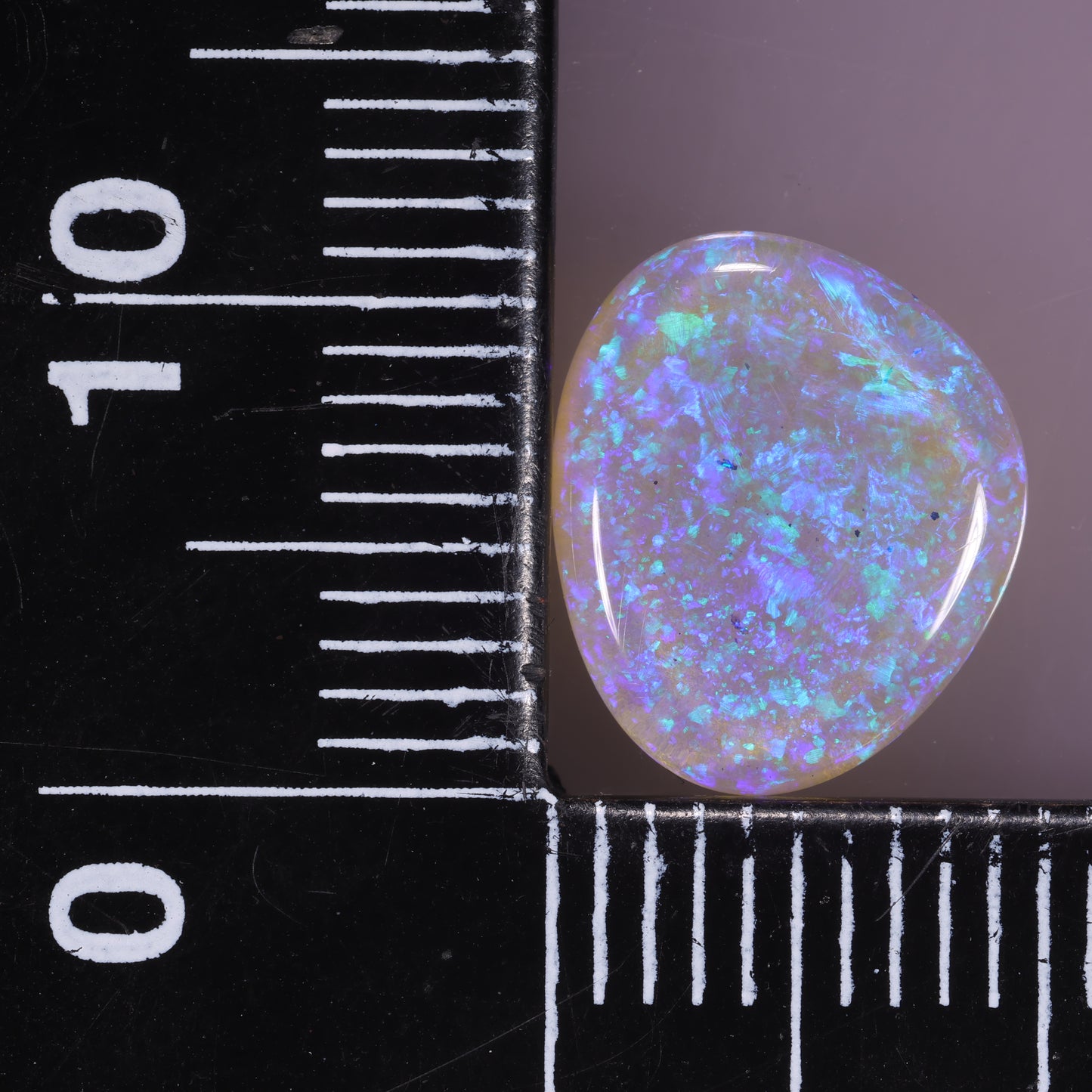 Lightning Ridge Opal 1.80cts 32264