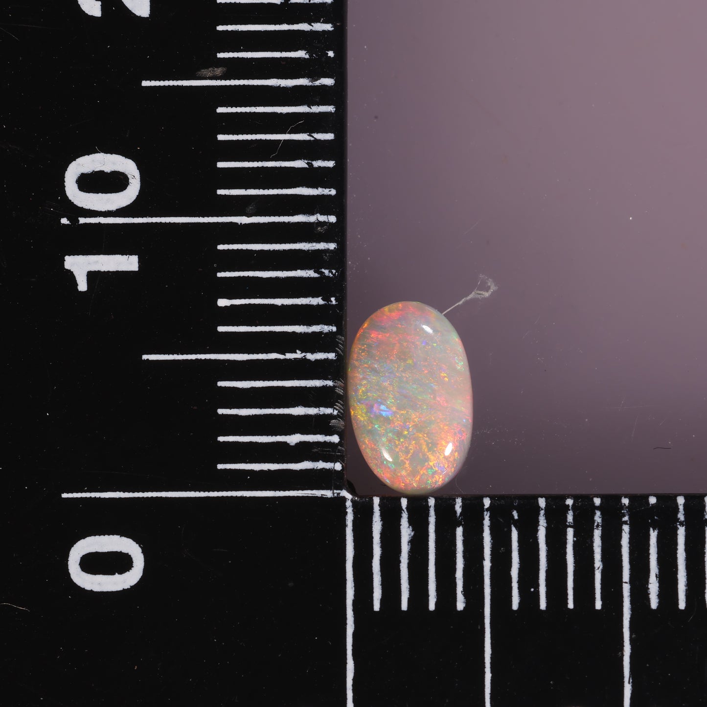 Lightning Ridge Opal 0.64cts 28509