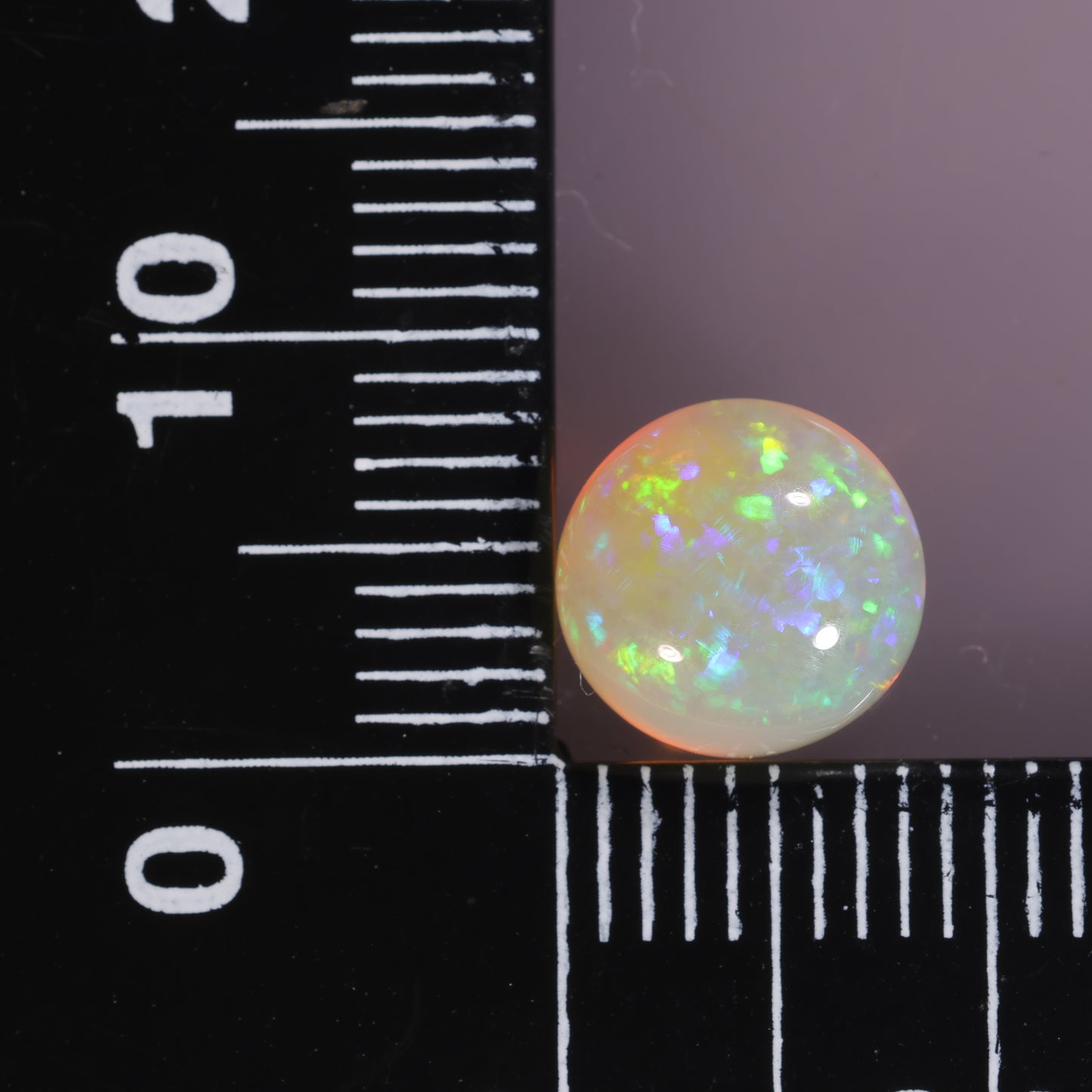 Lightning Ridge Opal 2.82cts 28385