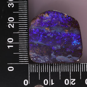 Boulder Opal 31.10cts 24006