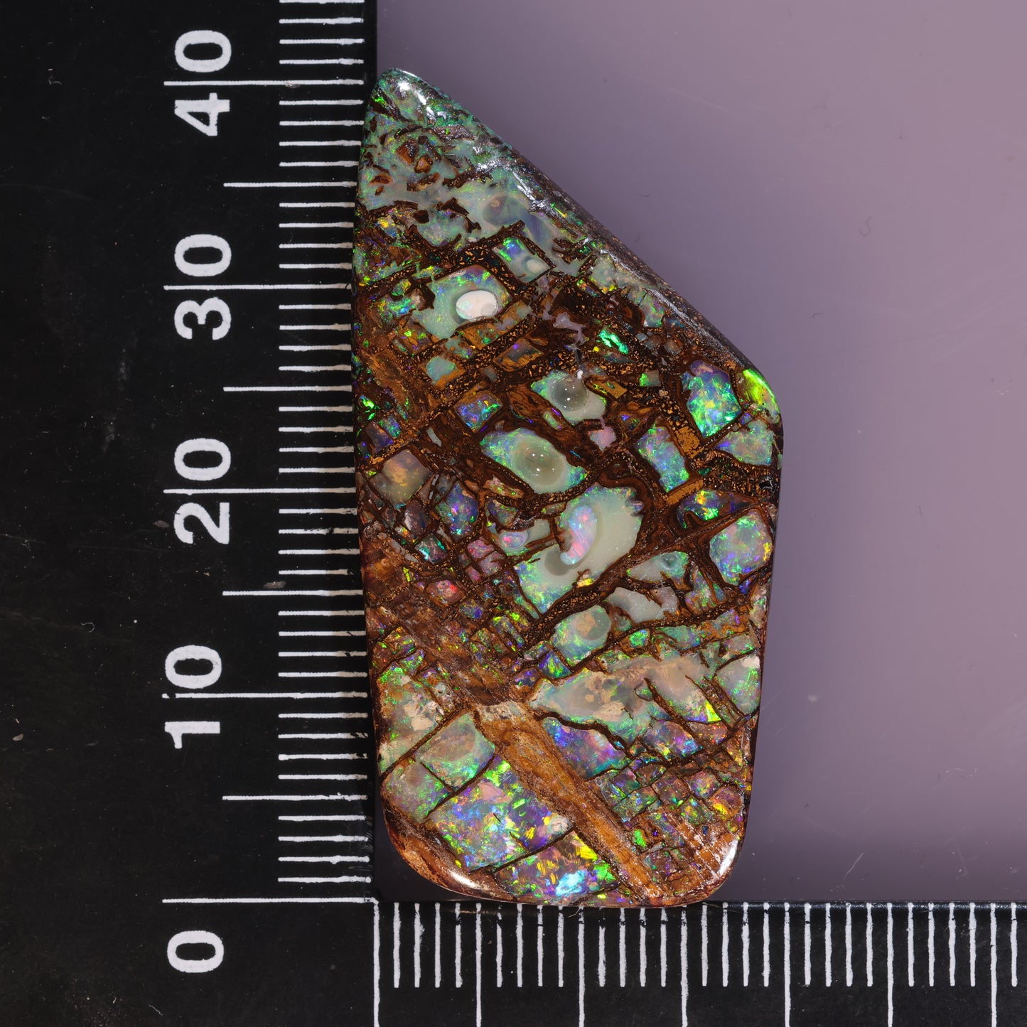 Boulder Opal 52.56cts 22626