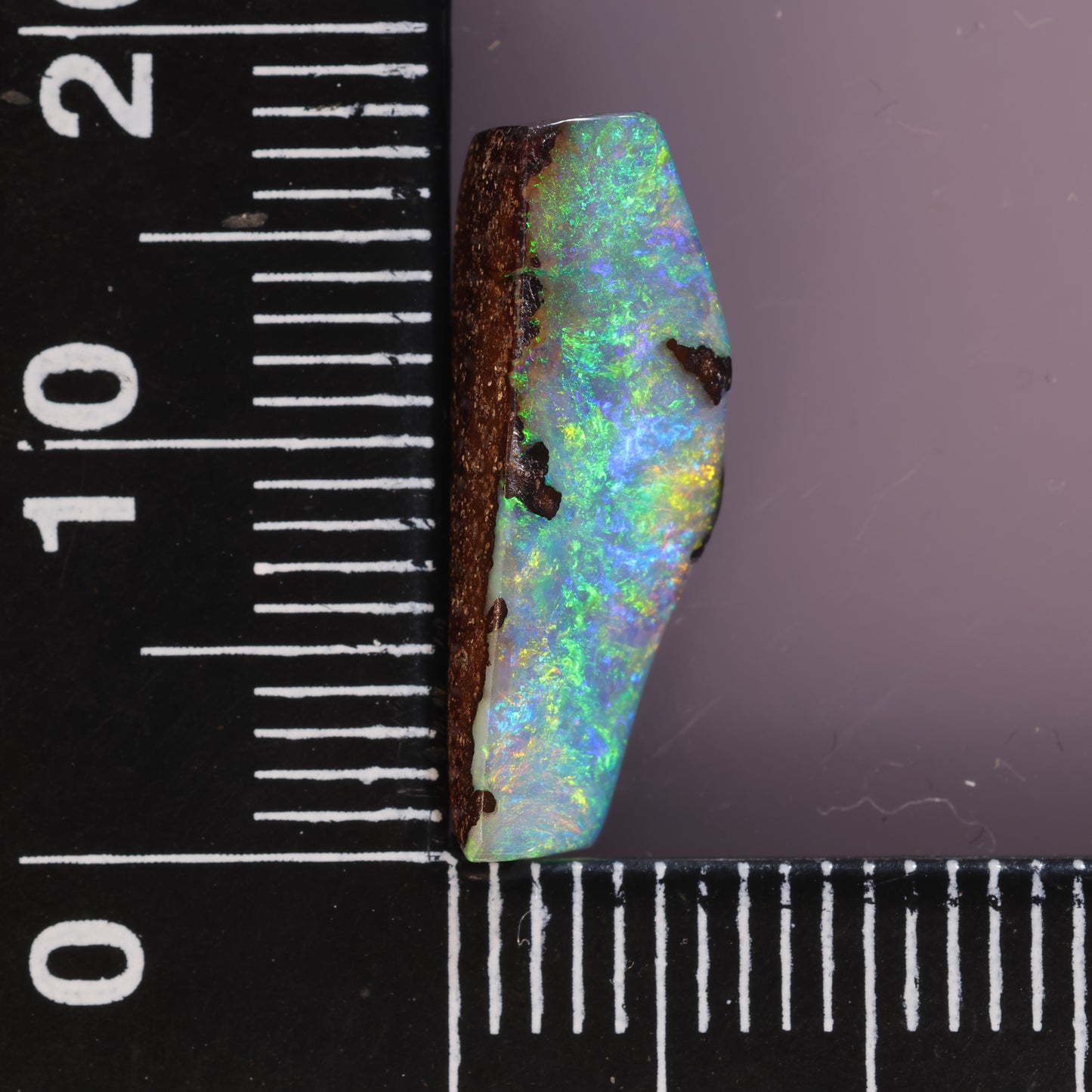 Boulder Opal 4.24cts 22910