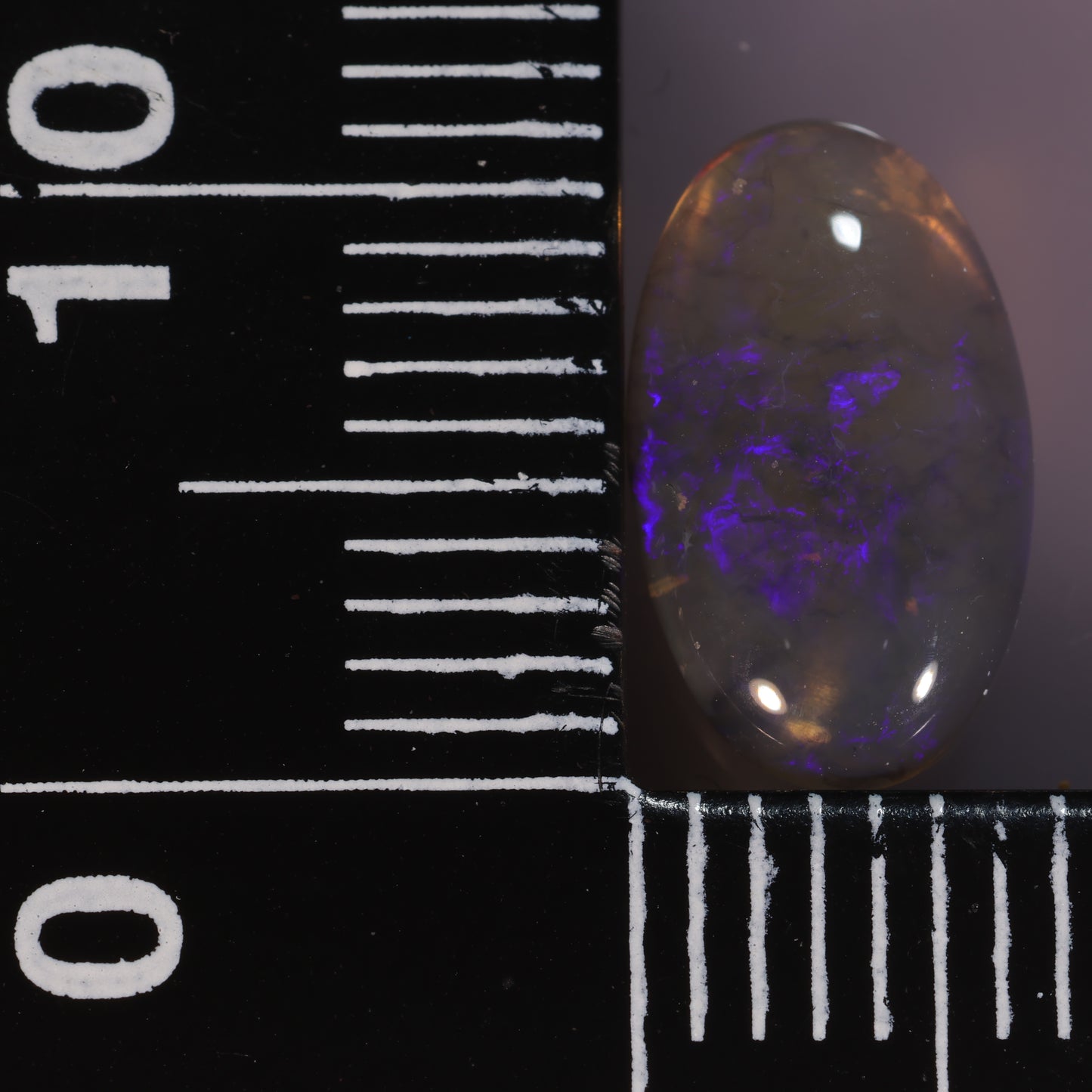 Lightning Ridge Opal 1.56cts 27017