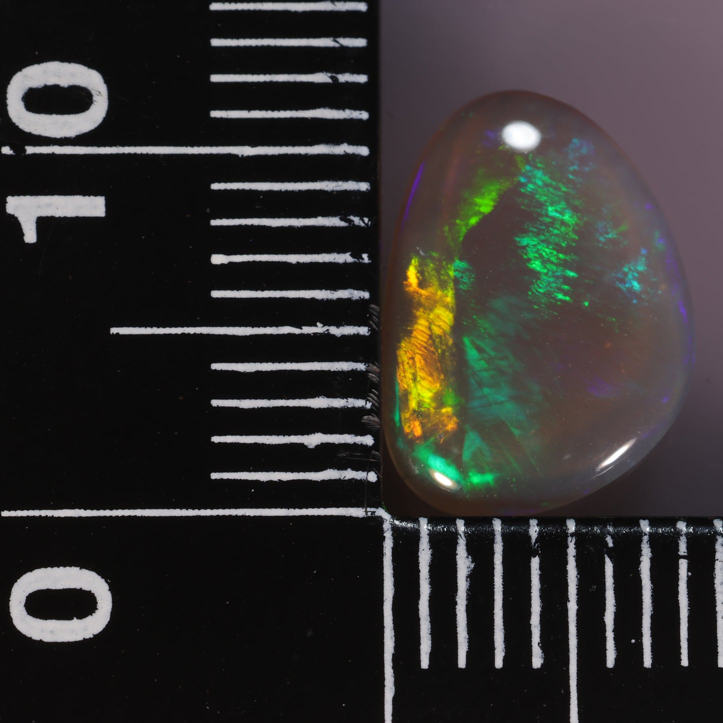 Lightning Ridge Opal 1.46cts 25038