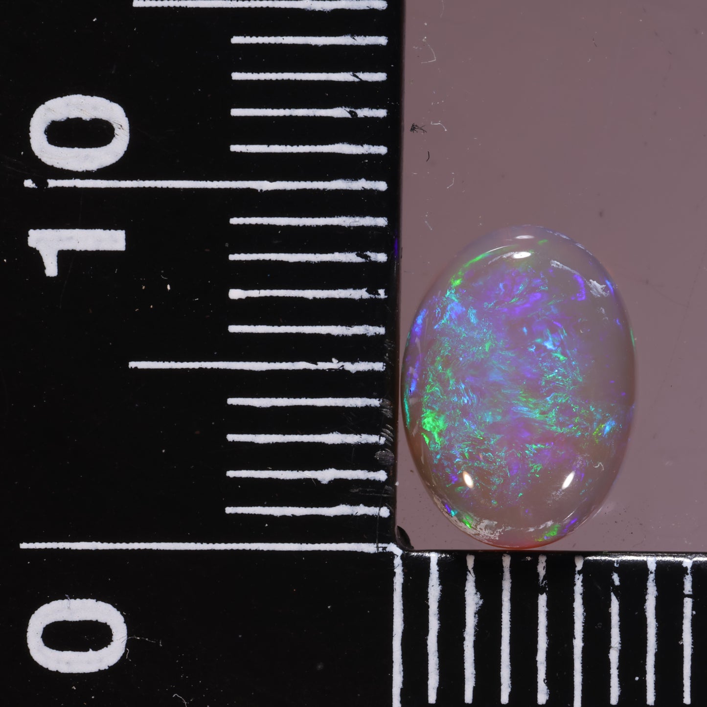 Lightning Ridge Opal 1.45cts 21652