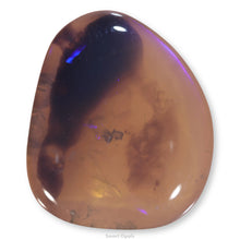 Load image into Gallery viewer, Lightning Ridge Opal 7.14cts 24714

