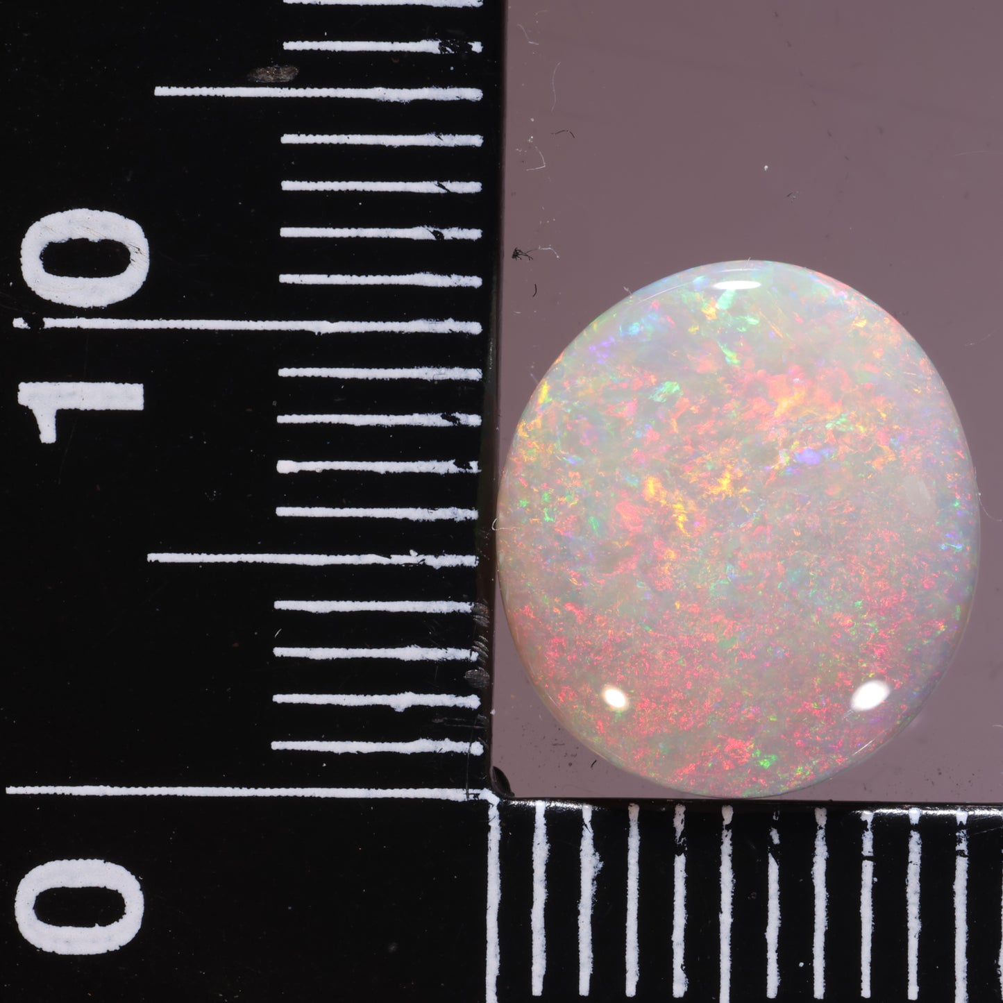 Lightning Ridge Opal 3.09cts 25393