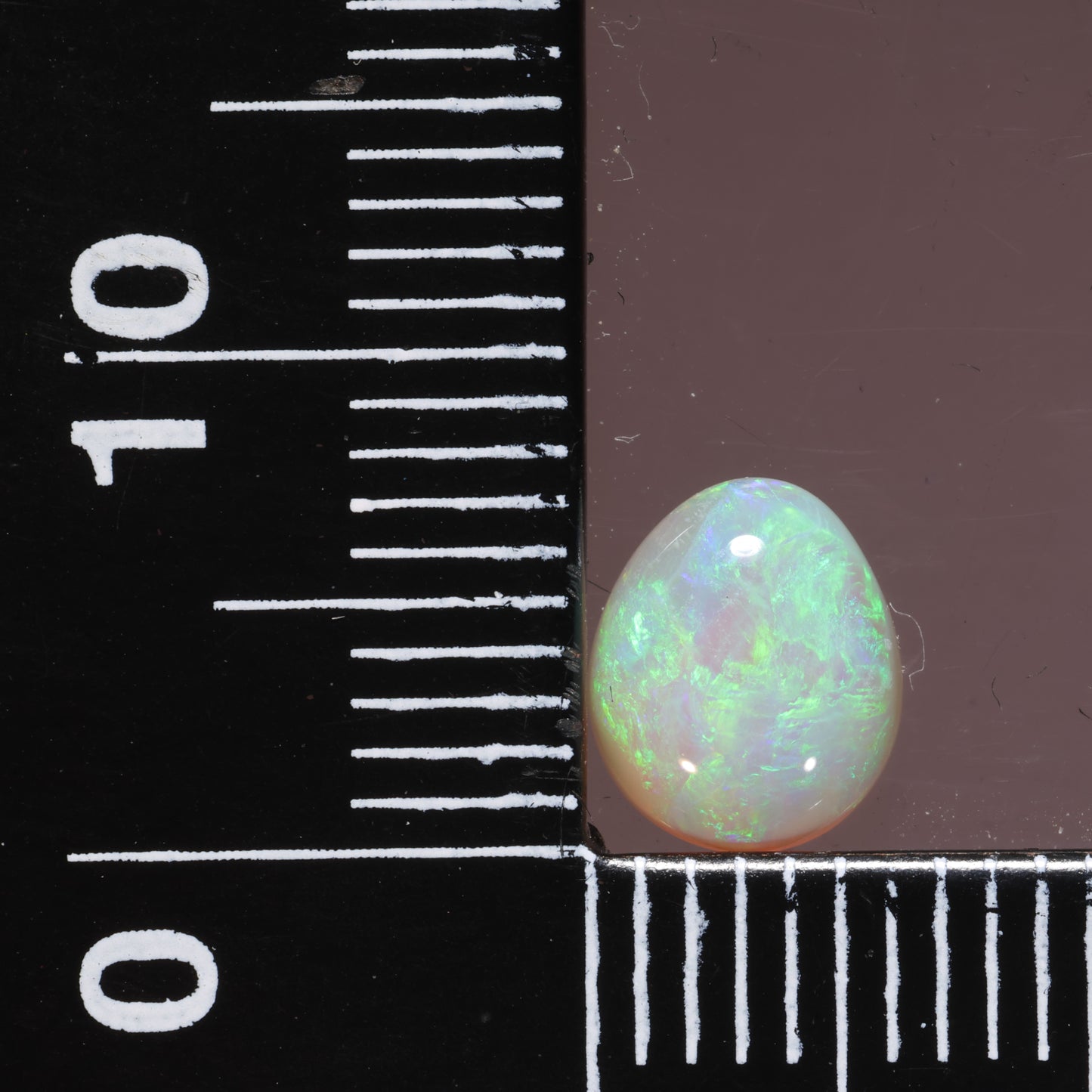 Lightning Ridge Opal 0.90cts 25469