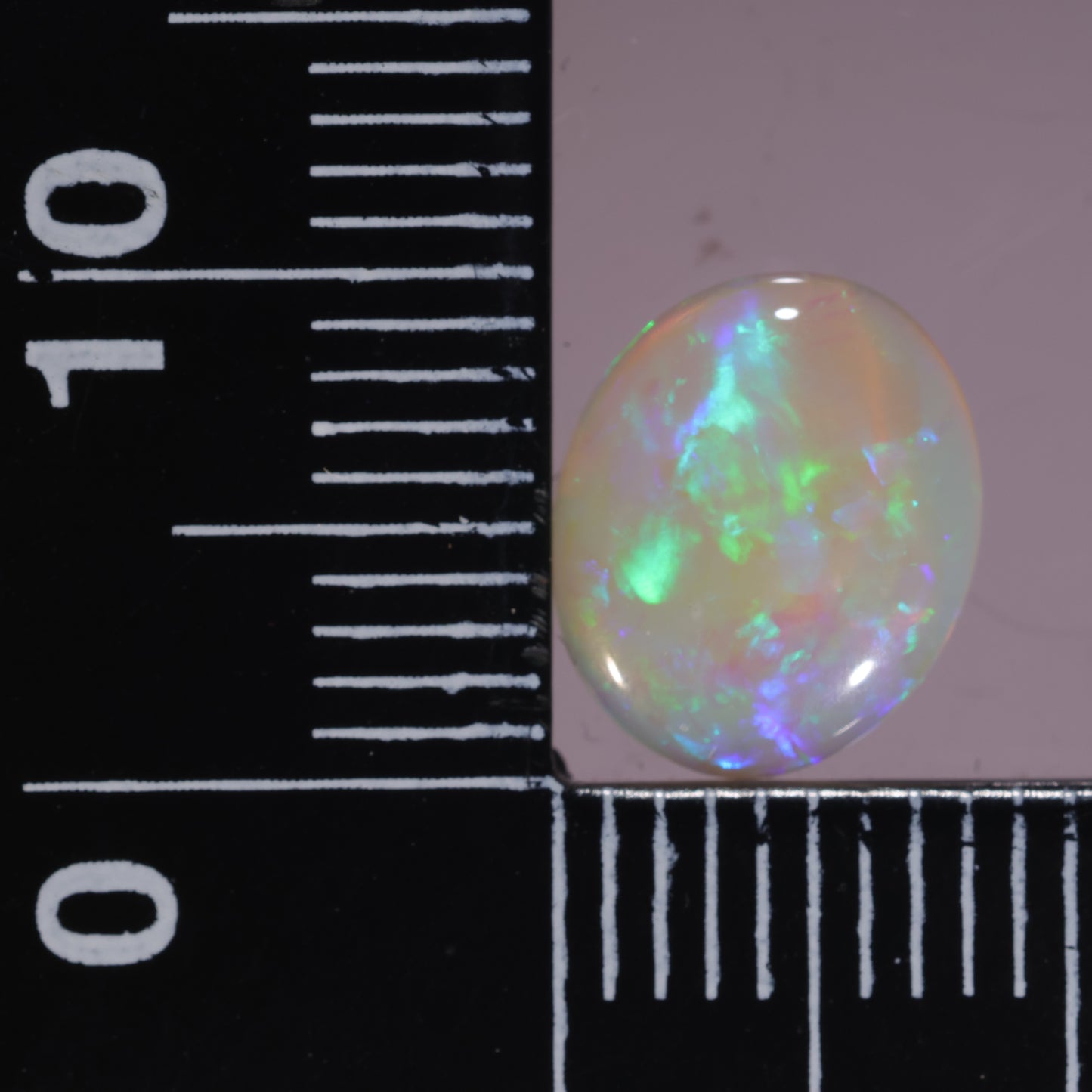 Lightning Ridge Opal 1.67cts 25475