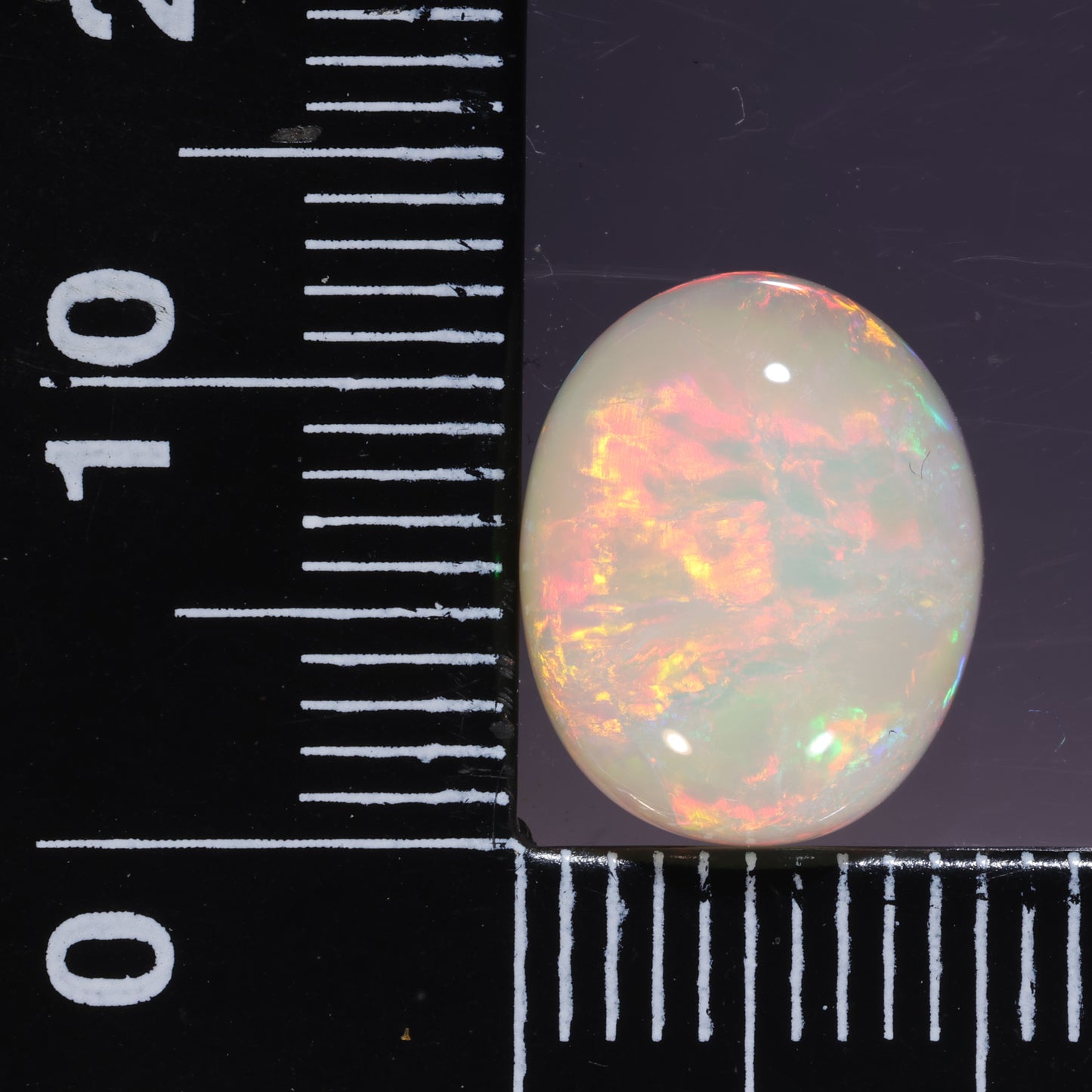 Lightning Ridge Opal 4.67cts 25478