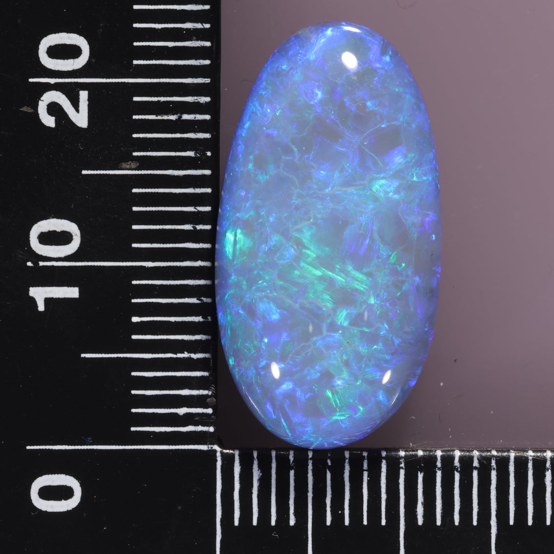 Lightning Ridge Opal 14.59cts 25538