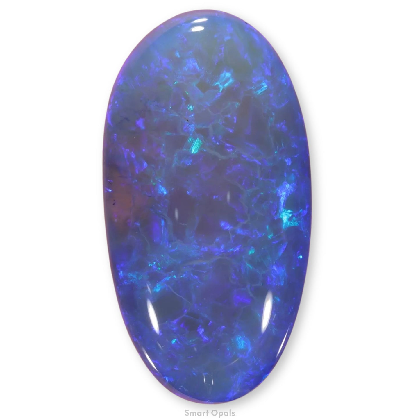 Lightning Ridge Opal 14.59cts 25538