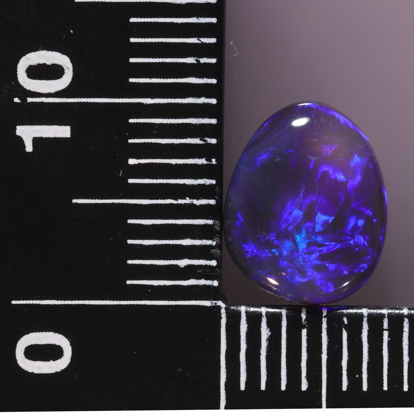 Lightning Ridge Opal 1.85cts 25683