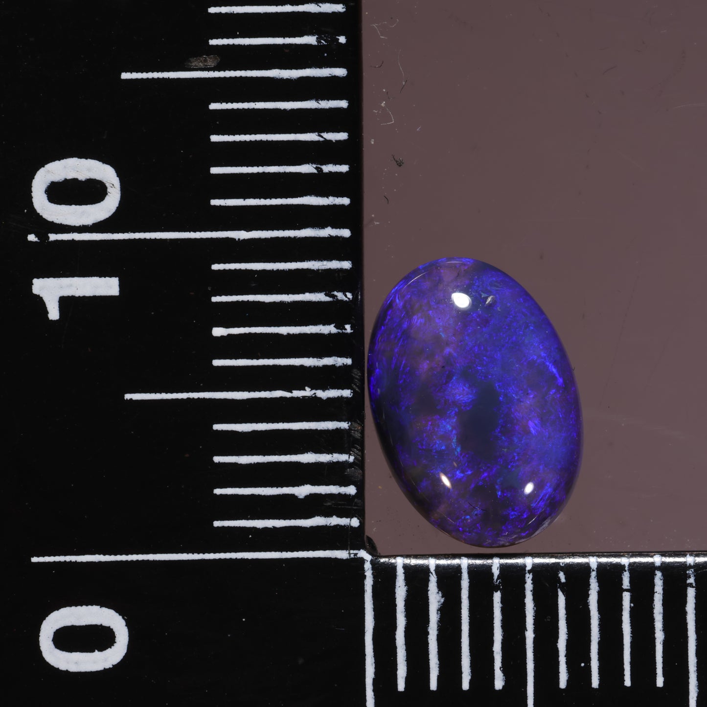 Lightning Ridge Opal 1.31cts 26347