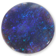 Load image into Gallery viewer, Lightning Ridge Opal 4.56cts 26350
