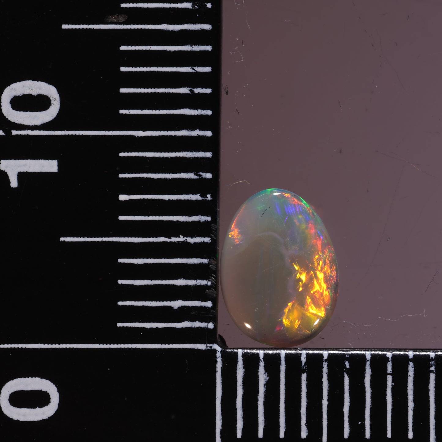 Lightning Ridge Opal 0.55cts 26766