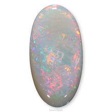 Load image into Gallery viewer, Lightning Ridge Opal 1.75cts 27089
