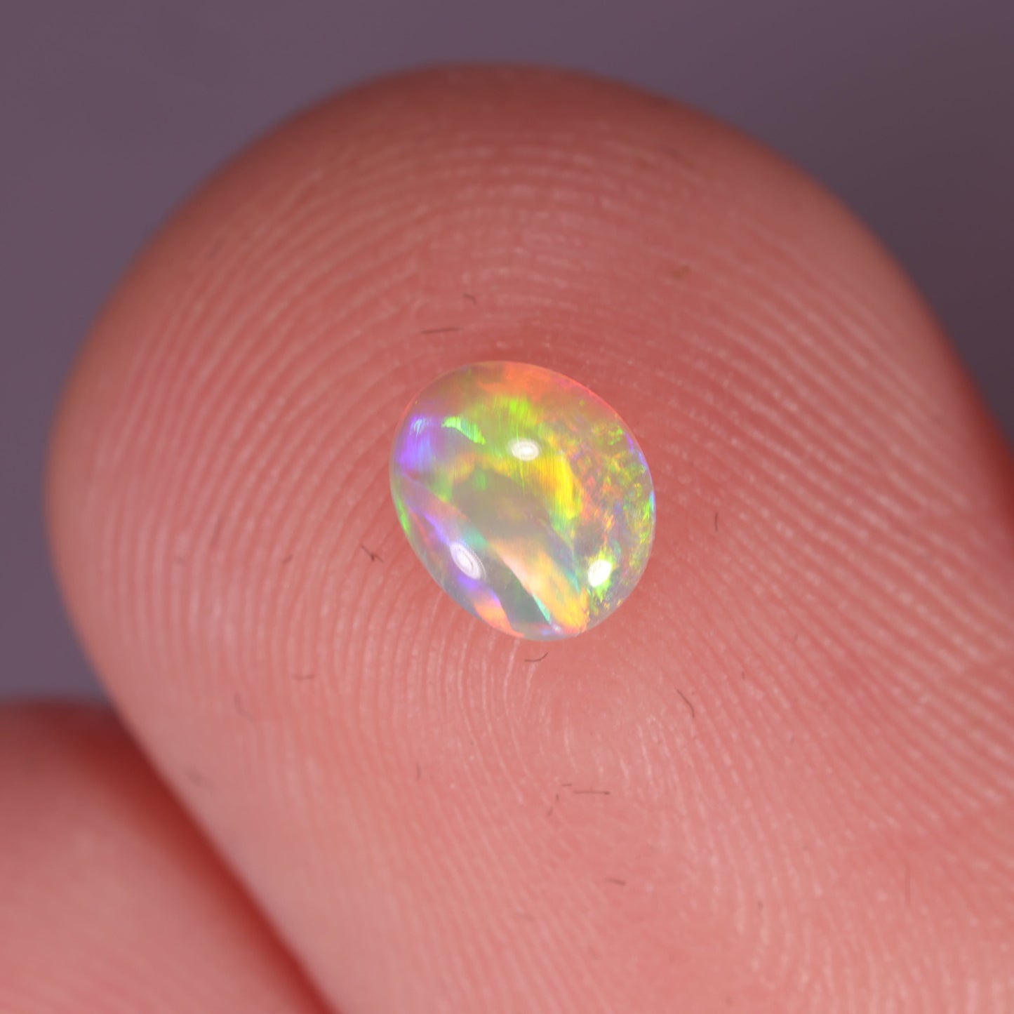 Lightning Ridge Opal 0.24 cts 30423