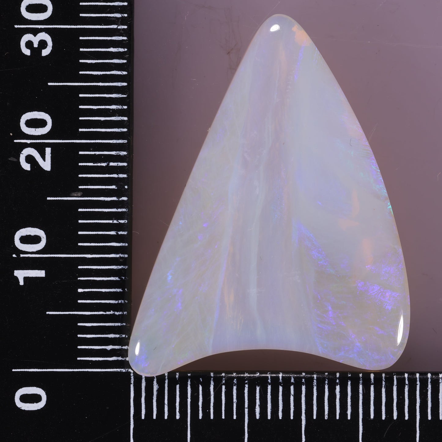 Lightning Ridge Opal 24.51 cts 30481