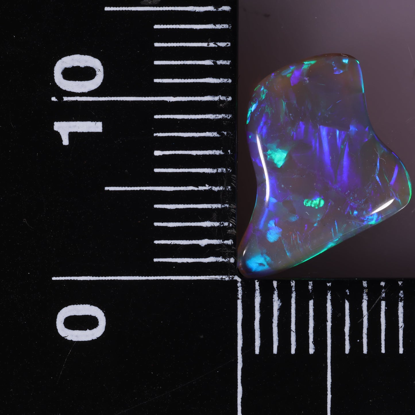 Lightning Ridge Opal 1.56 cts 31117