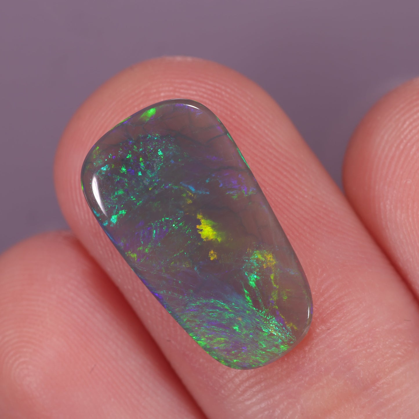 Lightning Ridge Opal 2.42 cts 31183