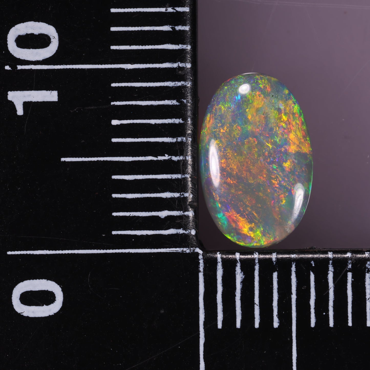 Lightning Ridge Opal 1.1 cts 31194