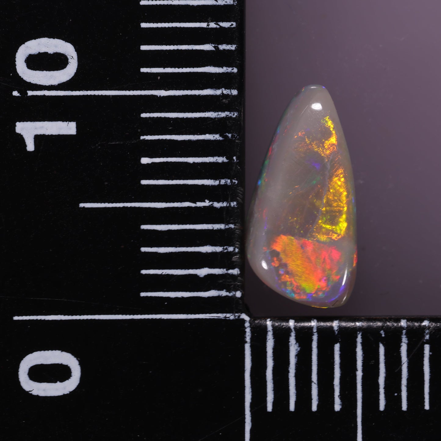 Lightning Ridge Opal 1.04 cts 31583