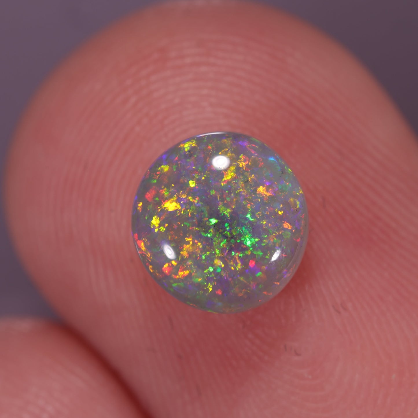 Lightning Ridge Opal 0.81 cts 31637