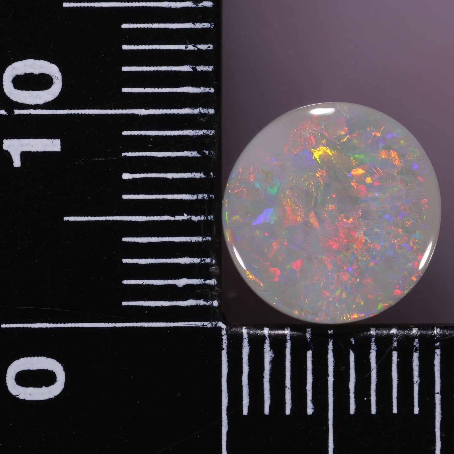 Lightning Ridge Opal 2.8 cts 31640