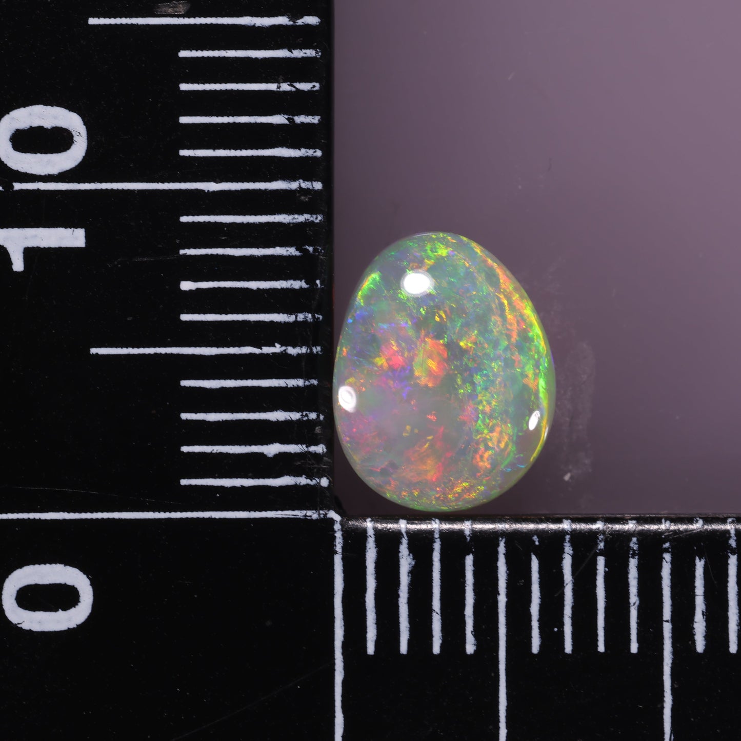 Lightning Ridge Opal 1.36 cts 31648