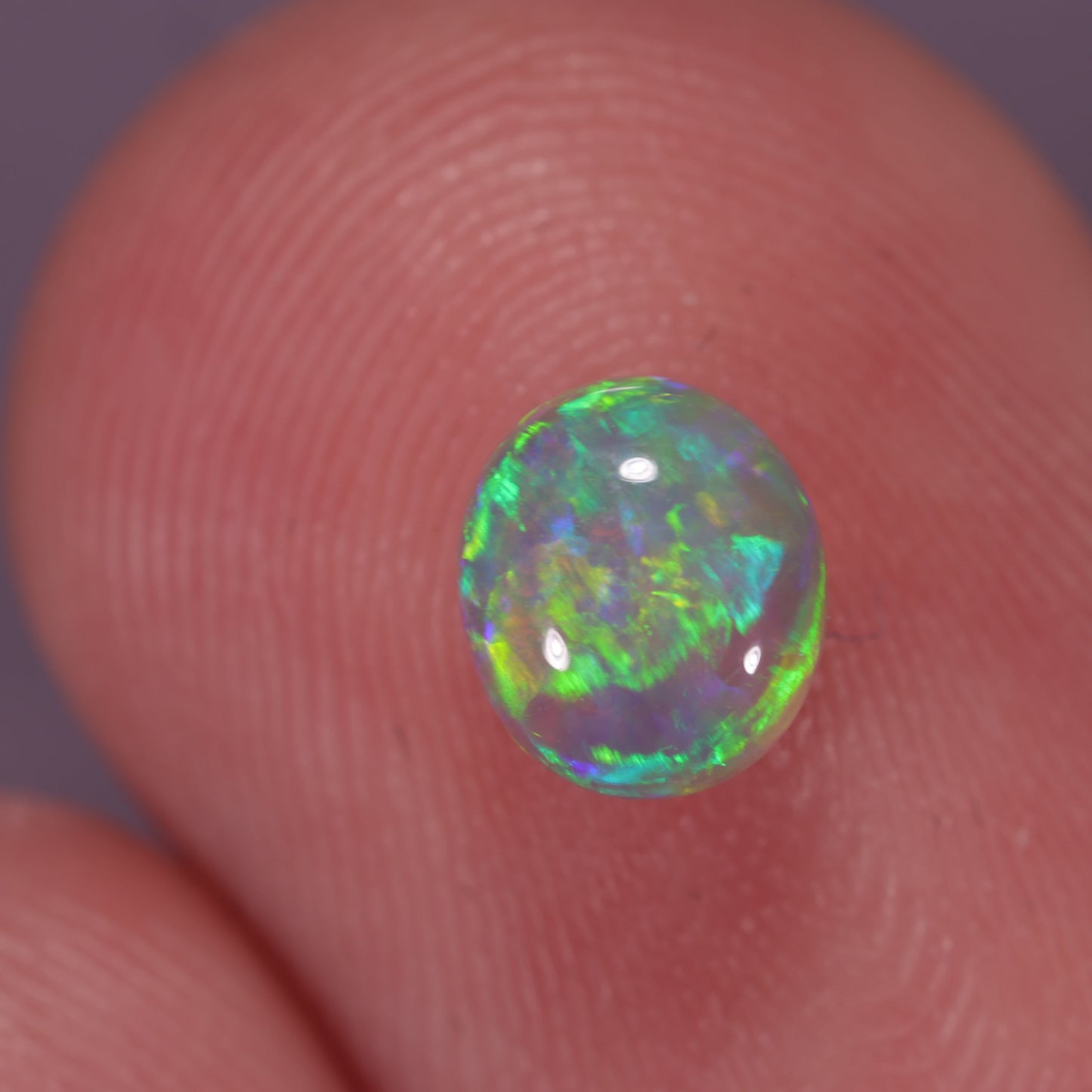 Lightning Ridge Opal 0.54 cts 31777