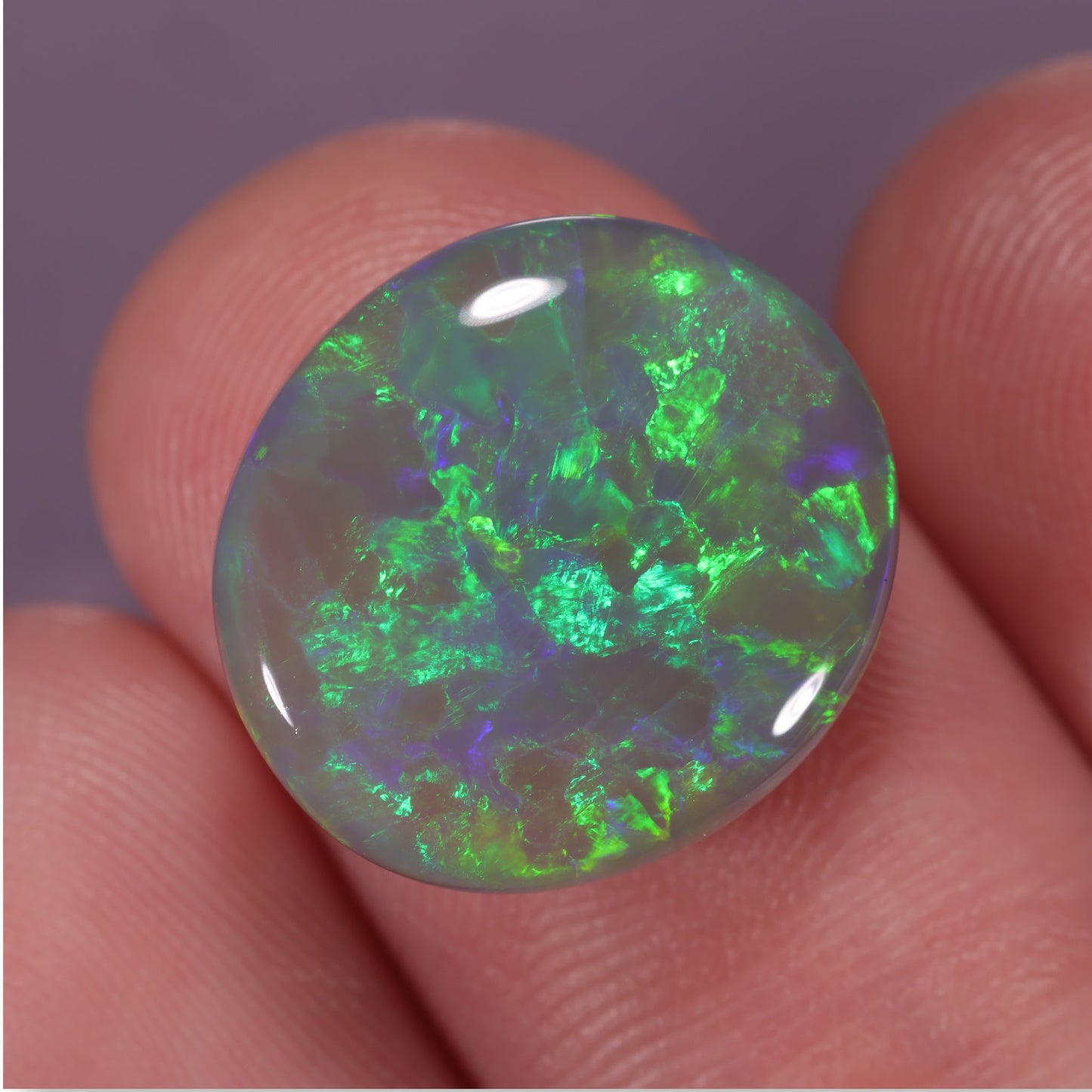 Lightning Ridge Opal 6.52cts 32304