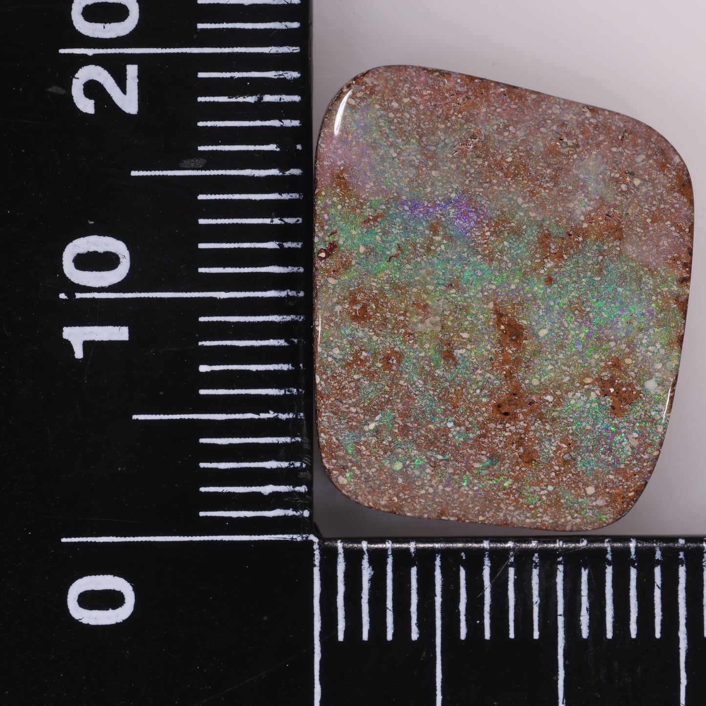 Boulder Opal 12.47 cts 32986